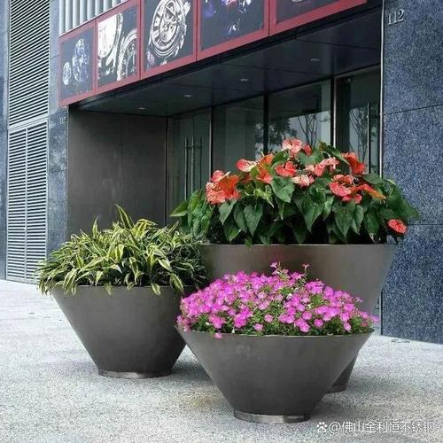 和居住環(huán)境的要求不斷提高,植物已經成為了室內外裝飾的重要組成部分