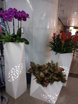 個(gè)性花卉產(chǎn)品租賃_個(gè)性花卉產(chǎn)品批發(fā)零售_高端組景組盆花卉專業(yè)租貨_長沙花卉租擺_高端花卉專業(yè)設(shè)計(jì)租賃