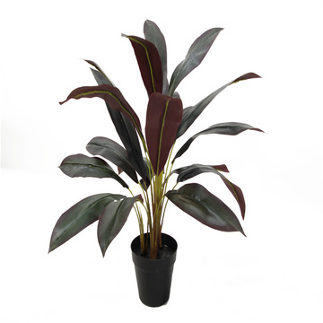 仿真綠植朱蕉仿生假植物裝飾巴西鐵辦公裝飾室內外擺件大型產品