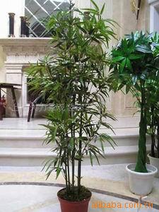 仿真竹子 仿真植物 室內裝飾